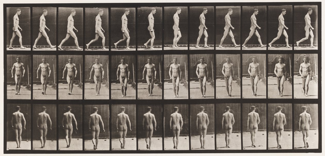 Płyta 1. Chodzenie autorstwa Eadweard Muybridge