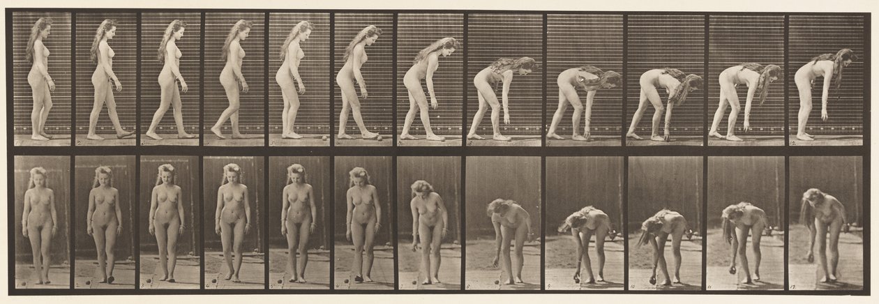 Płyta 204. Zatrzymywanie się, aby podnieść piłkę autorstwa Eadweard Muybridge