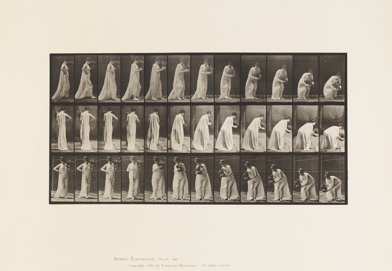 Talerz 205. Noszenie i pochylanie się z wazą, 1885 autorstwa Eadweard Muybridge