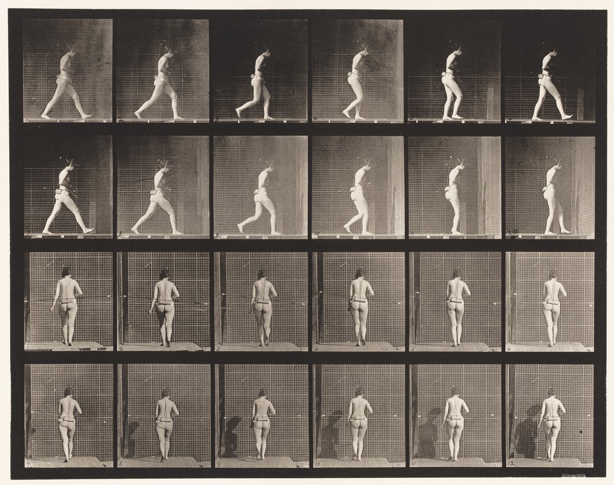 Płyta 20. Chodzenie, zgięty prawy łokieć autorstwa Eadweard Muybridge