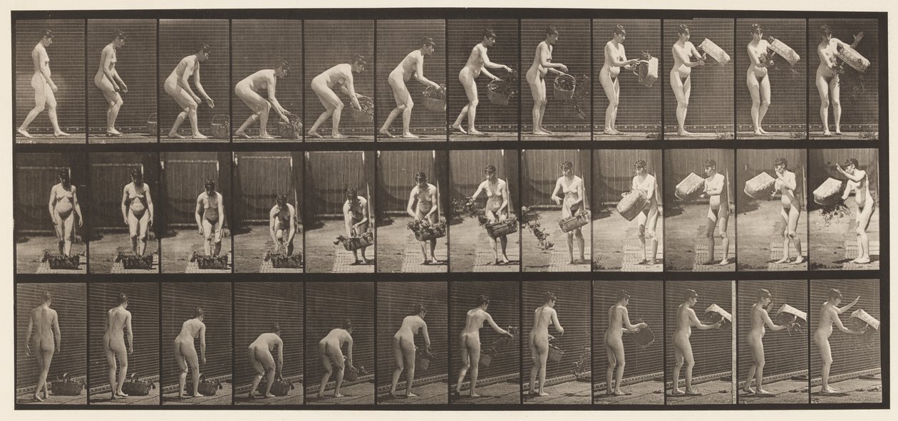 Talerz 213. Kosz do podnoszenia i opróżniania autorstwa Eadweard Muybridge