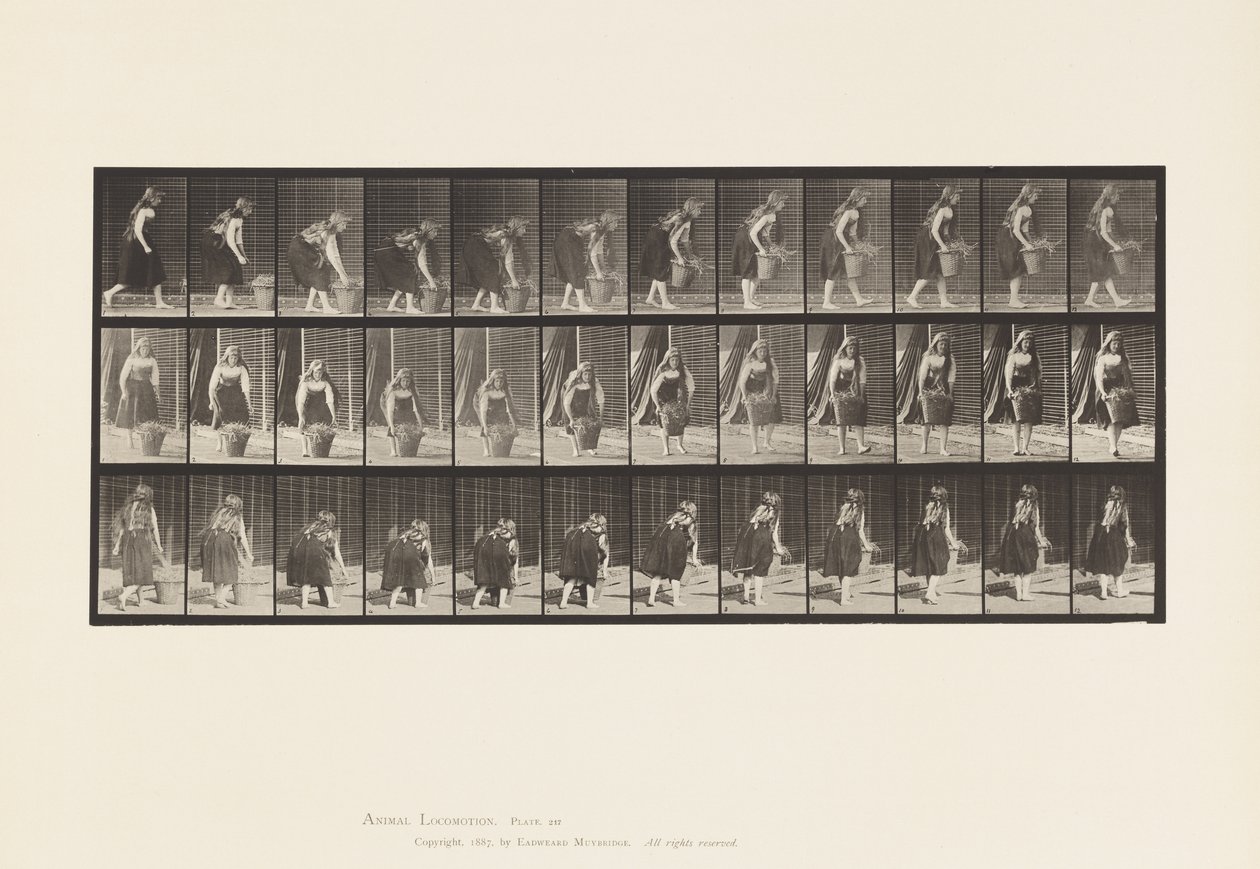 Talerz 217. Pochylanie, podnoszenie i noszenie 30-funtowego kosza, 1885 autorstwa Eadweard Muybridge