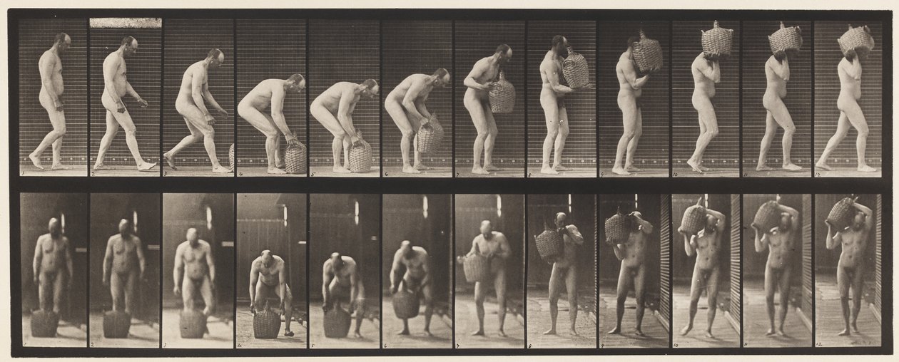 Płyta 218. Pochylanie się i podnoszenie pełnego gąsiora na ramię autorstwa Eadweard Muybridge