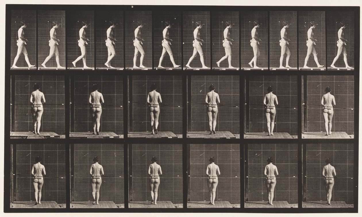 Płyta 21. Chodzenie, oba łokcie zgięte autorstwa Eadweard Muybridge