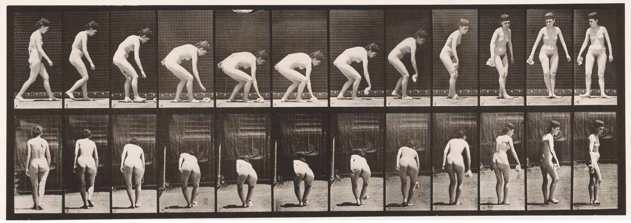 Płyta 220. Pochylanie i podnoszenie chustki i obracanie autorstwa Eadweard Muybridge