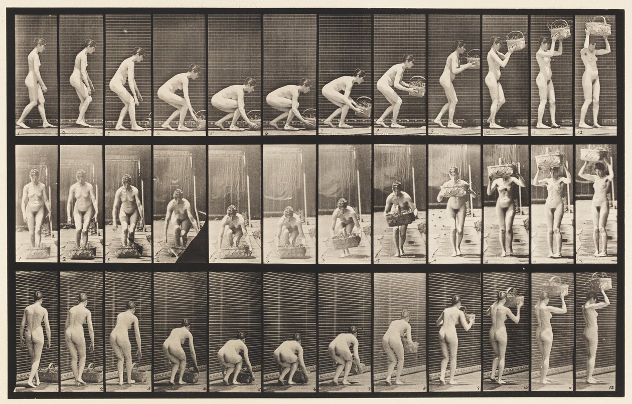 Płyta 221. Pochylanie i podnoszenie 12-funtowego kosza do głowy autorstwa Eadweard Muybridge