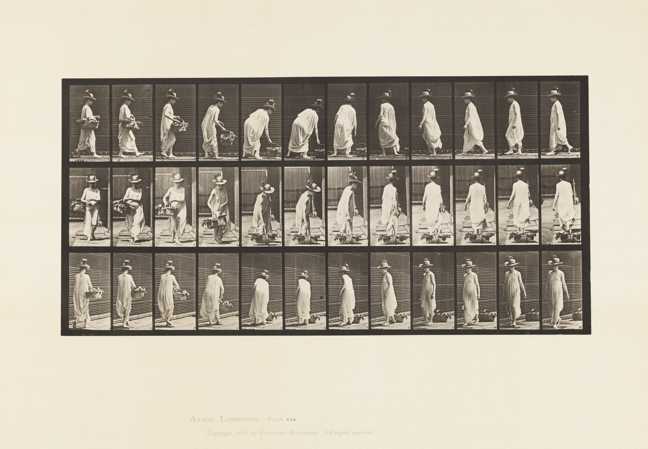 Płyta 229. Umieszczanie kosza na ziemi i obracanie autorstwa Eadweard Muybridge