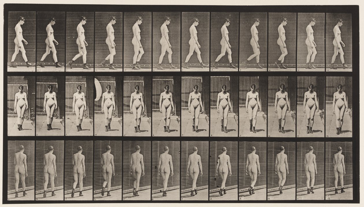 Płyta 22. Chodzenie, w butach na wysokim obcasie, 1872-1885 autorstwa Eadweard Muybridge