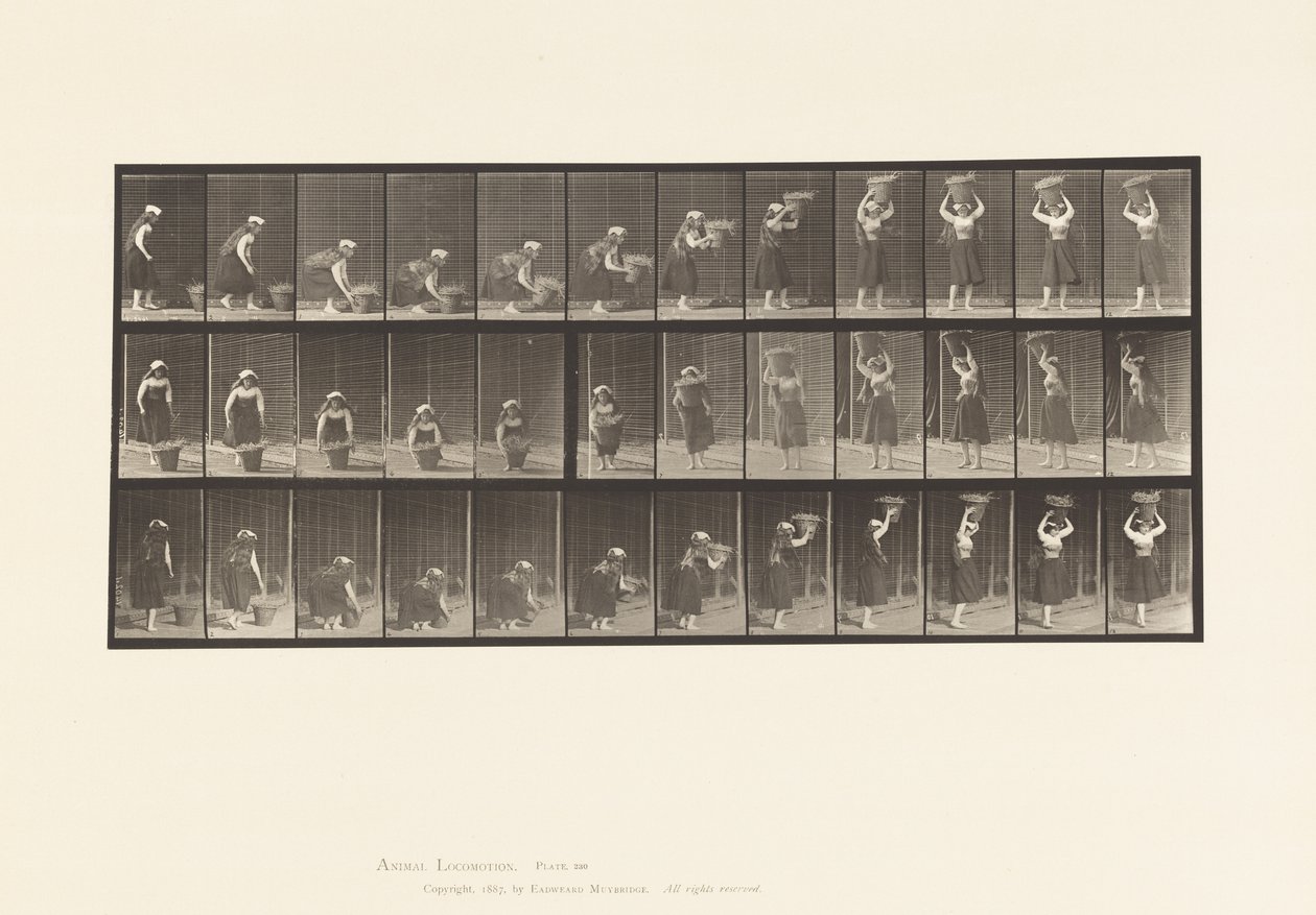 Talerz 230. Podnoszenie 30-funtowego kosza od ziemi do głowy, obracanie, 1885 autorstwa Eadweard Muybridge