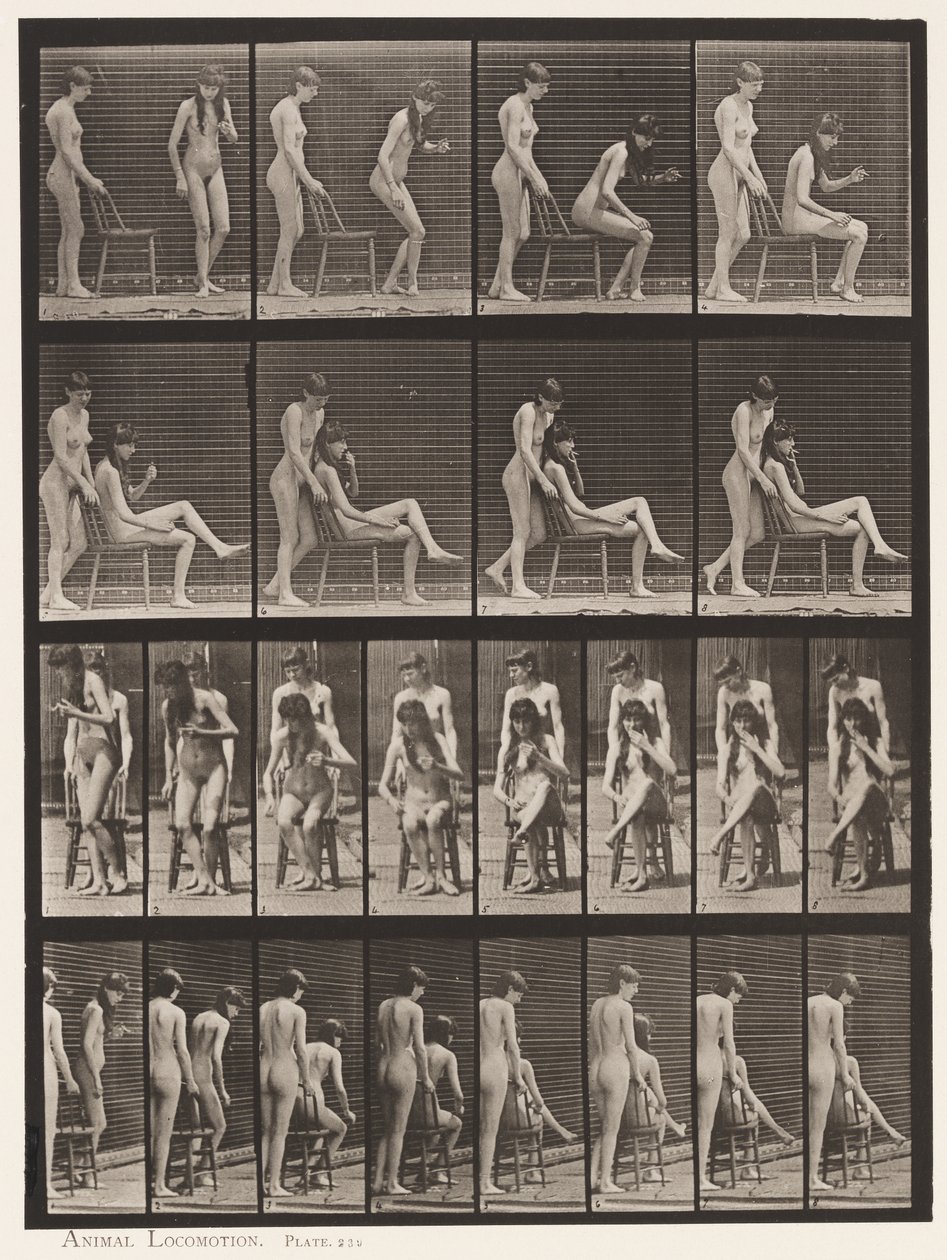 Tabliczka 239. Dwa modele; jeden stojący, drugi siedzący, skrzyżowane nogi autorstwa Eadweard Muybridge