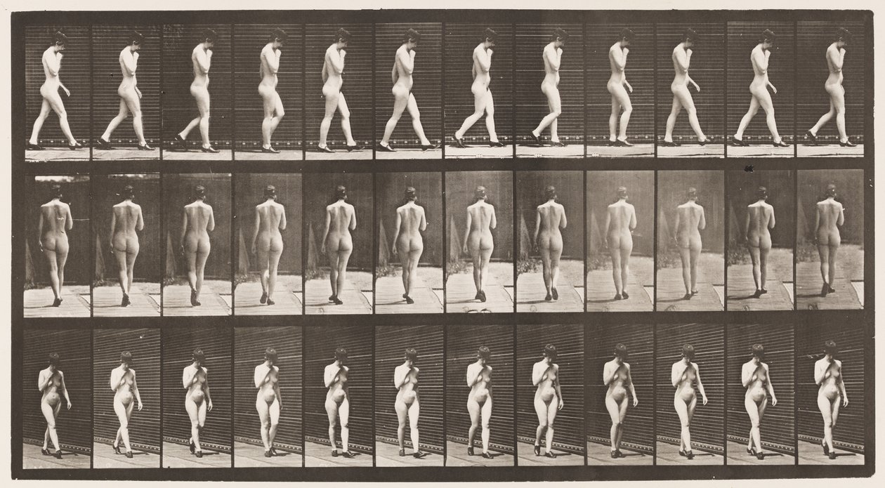 Płyta 23. Chodzenie, prawa ręka przy brodzie, buty na wysokim obcasie autorstwa Eadweard Muybridge
