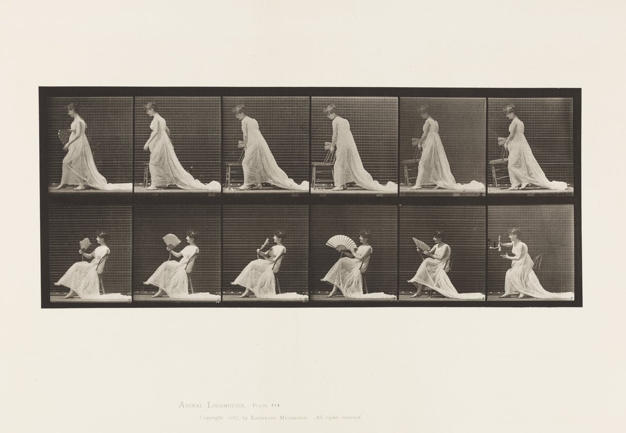 Talerz 242. Umieszczanie krzesła, siedzenie i flirtowanie z wachlarzem, 1885 autorstwa Eadweard Muybridge