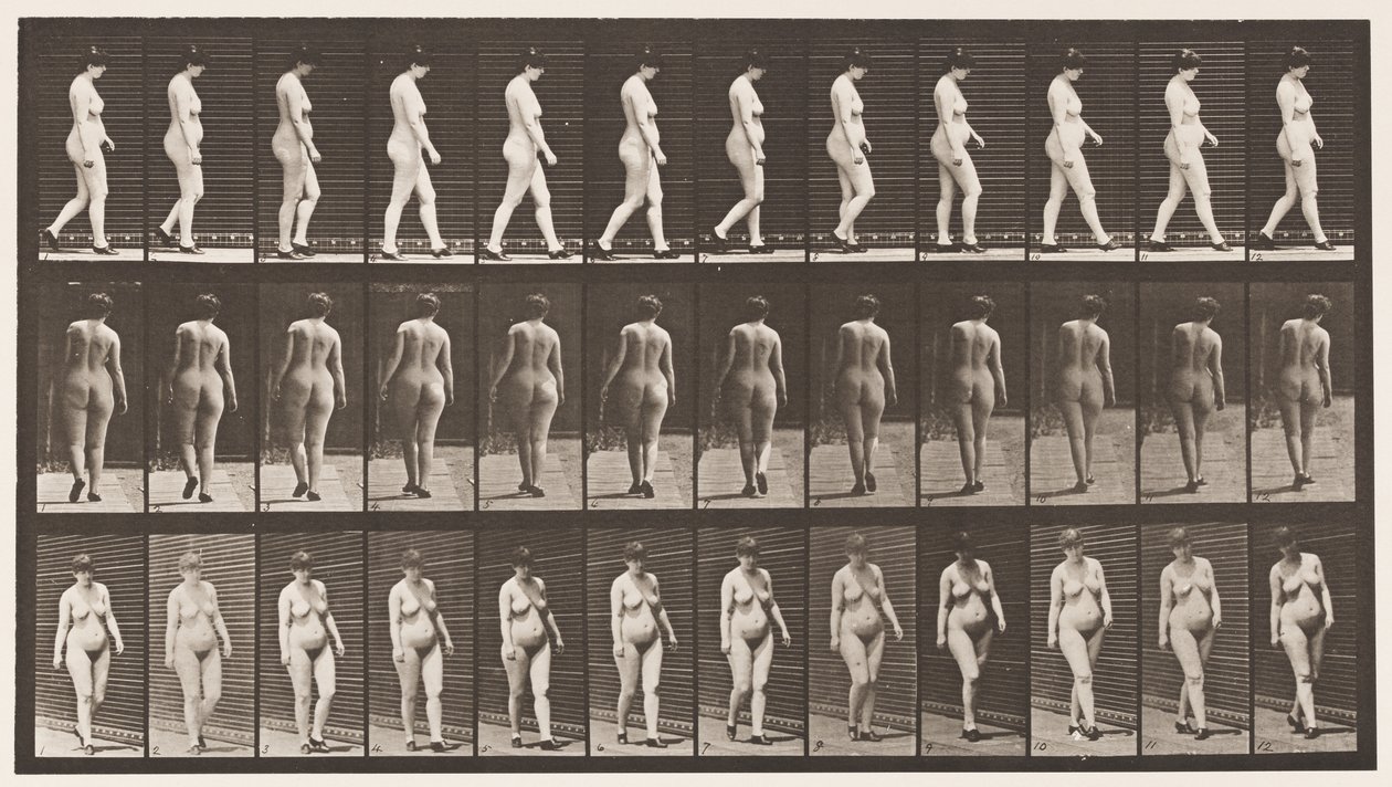 Płyta 24. Chodzenie z butami na wysokim obcasie autorstwa Eadweard Muybridge