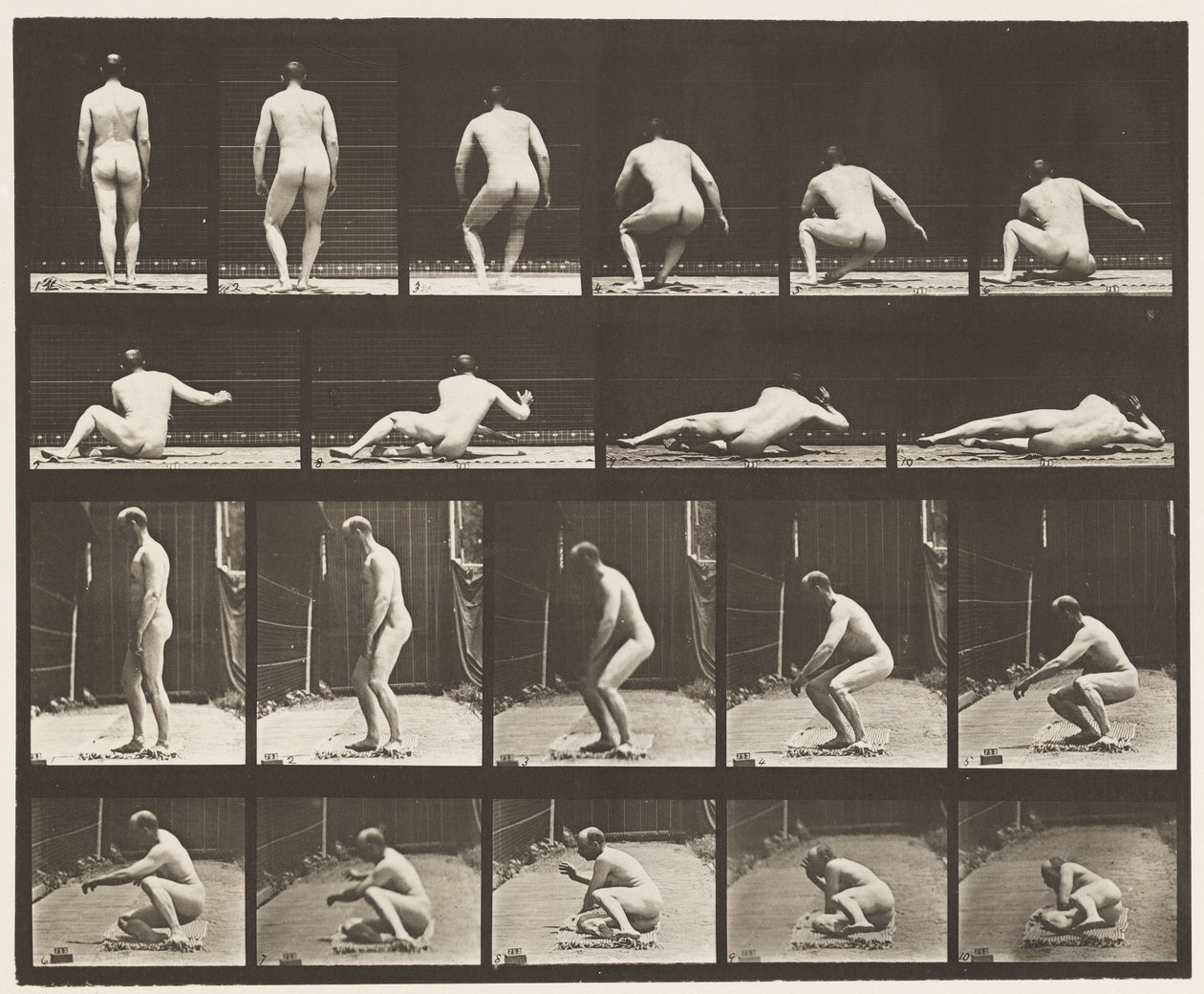 Płyta 257. Leżąc na ziemi, 1885 autorstwa Eadweard Muybridge