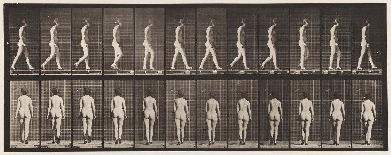 Płyta 25. Chodzenie z butami na wysokim obcasie autorstwa Eadweard Muybridge