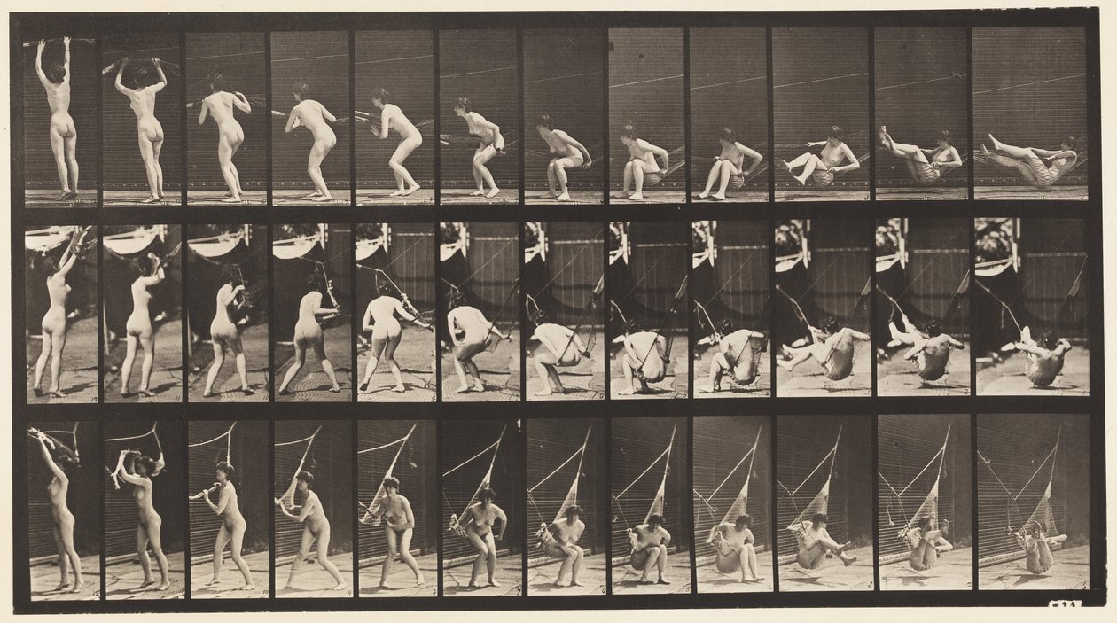 Płyta 262. Wychodzenie z hamaku autorstwa Eadweard Muybridge