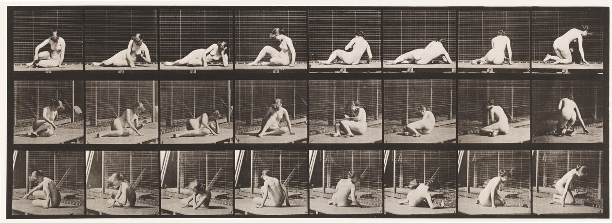 Płyta 266. Skręcanie i zmiana pozycji, gdy jesteś jeszcze na ziemi autorstwa Eadweard Muybridge