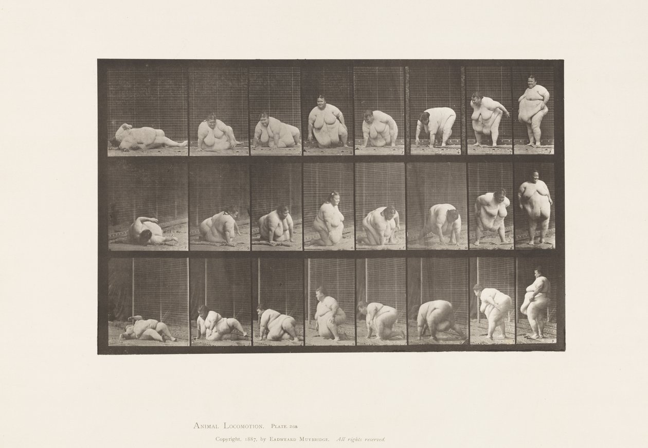 Tablica 268. Powstanie z ziemi, 1885 autorstwa Eadweard Muybridge