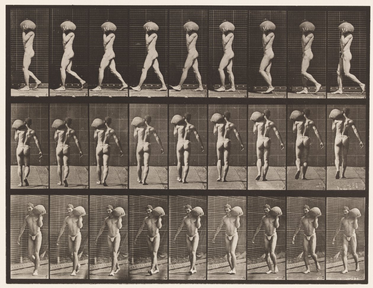 Płyta 26. Chodzenie, noszenie 75-funtowego kamienia na lewym ramieniu autorstwa Eadweard Muybridge
