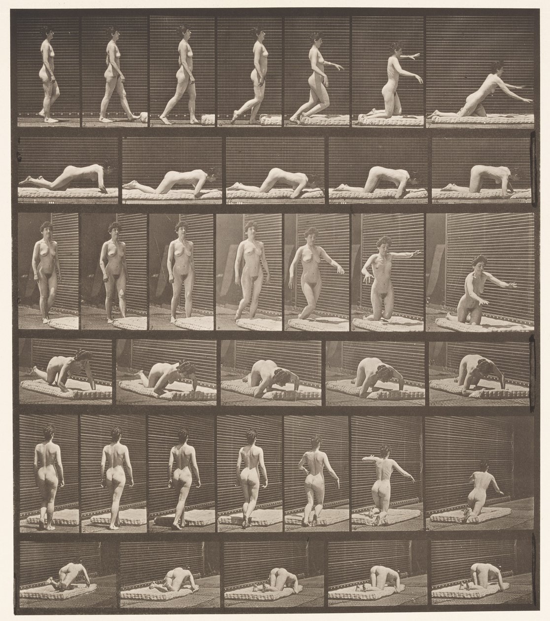 Płyta 272. Potykanie się i upadek na ziemię autorstwa Eadweard Muybridge