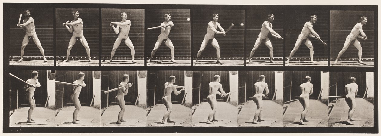 Płytka 279.Base-piłka; Mrugnięcie, 1885 autorstwa Eadweard Muybridge