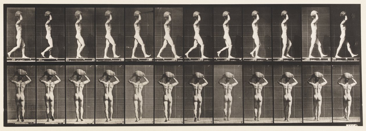 Płyta 27. Chodzenie, noszenie 70 funtów Kamienia na głowie, z podniesionymi rękami autorstwa Eadweard Muybridge