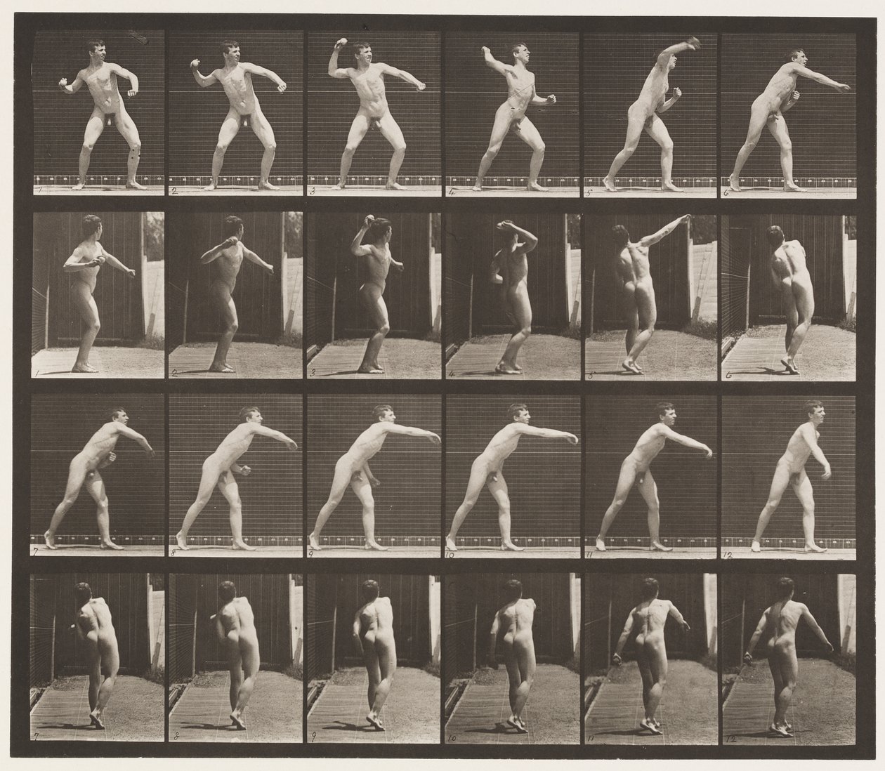 Tabliczka 286. Baseball; Rzucanie autorstwa Eadweard Muybridge