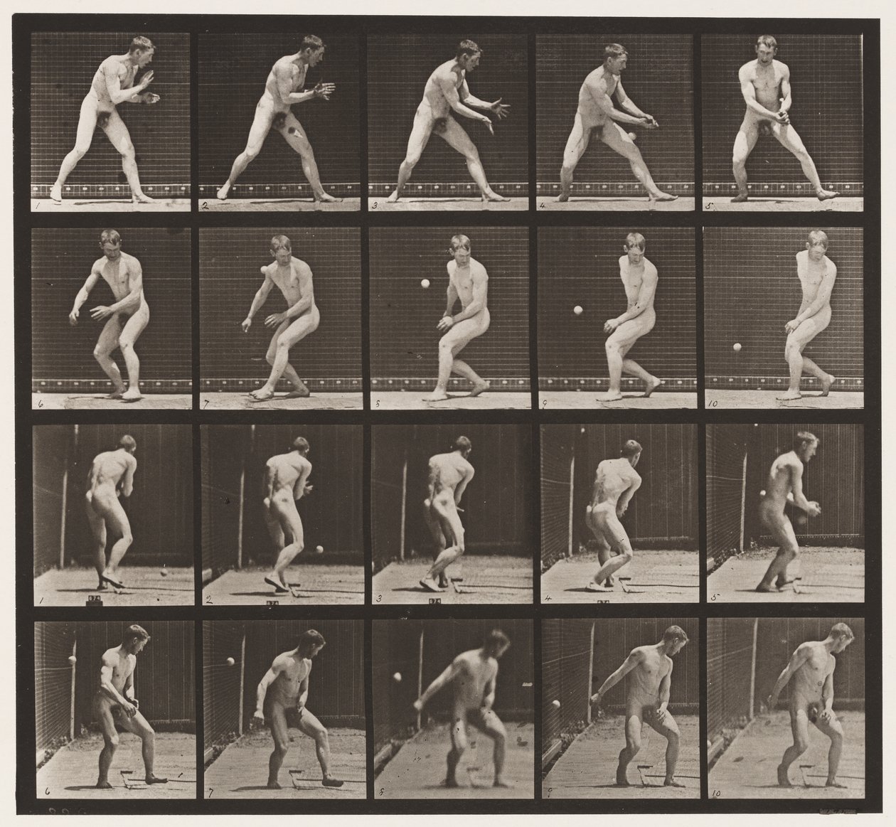 Tabliczka 288. Baseball; Błąd autorstwa Eadweard Muybridge