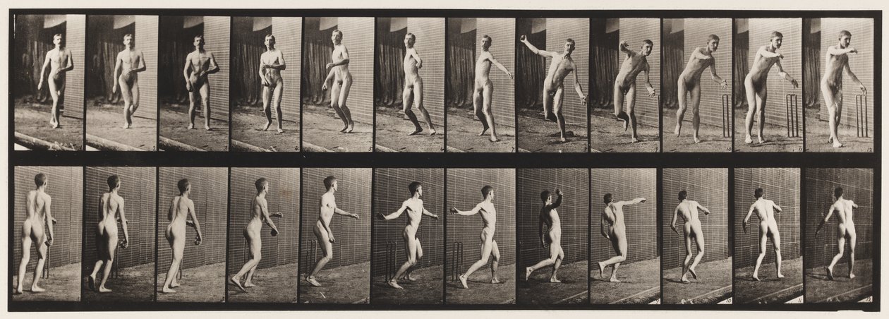 Płyta 289.Cricket; Kręgle z okrągłym ramieniem, 1885 autorstwa Eadweard Muybridge