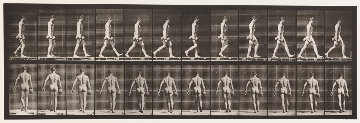 Płyta 28. Chodzenie, niosąc 50-funtowy dzwonek w prawej ręce, 1872-1885 autorstwa Eadweard Muybridge