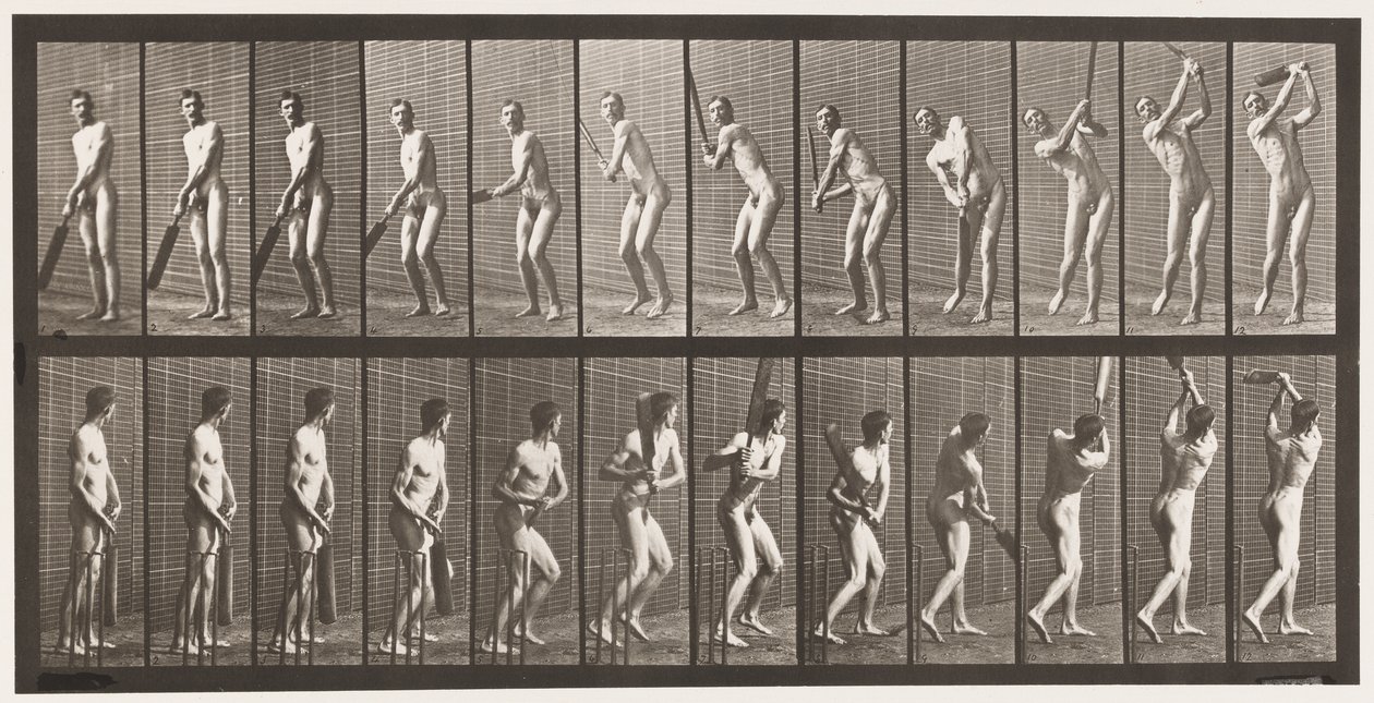 Płyta 291.Cricket; Mrugnięcie; Napęd, 1885 autorstwa Eadweard Muybridge
