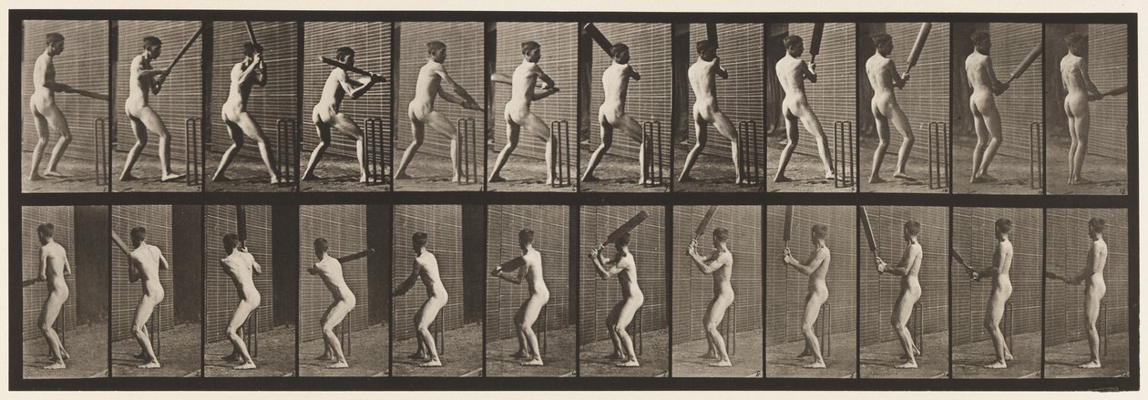 Płyta 292.Cricket; Mrugnięcie; Wycofać się, 1885 autorstwa Eadweard Muybridge