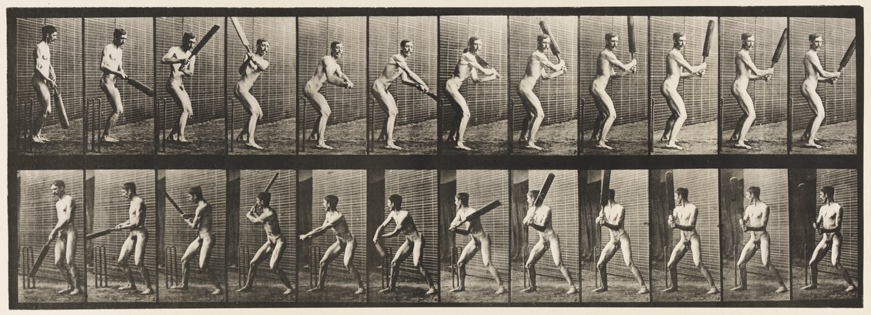 Płyta 293.Cricket; Mrugnięcie; Cięcie na plecach, 1885 autorstwa Eadweard Muybridge