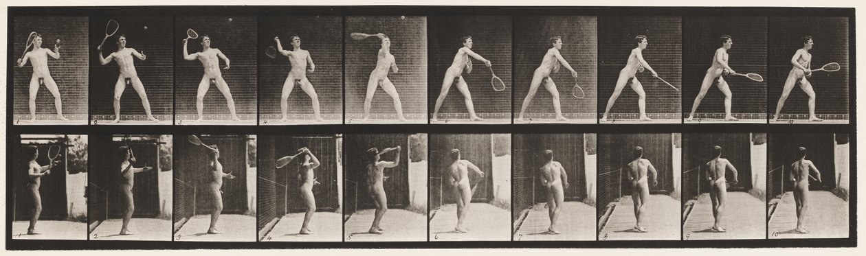Płyta 294. Tenis na trawniku; Porcja autorstwa Eadweard Muybridge