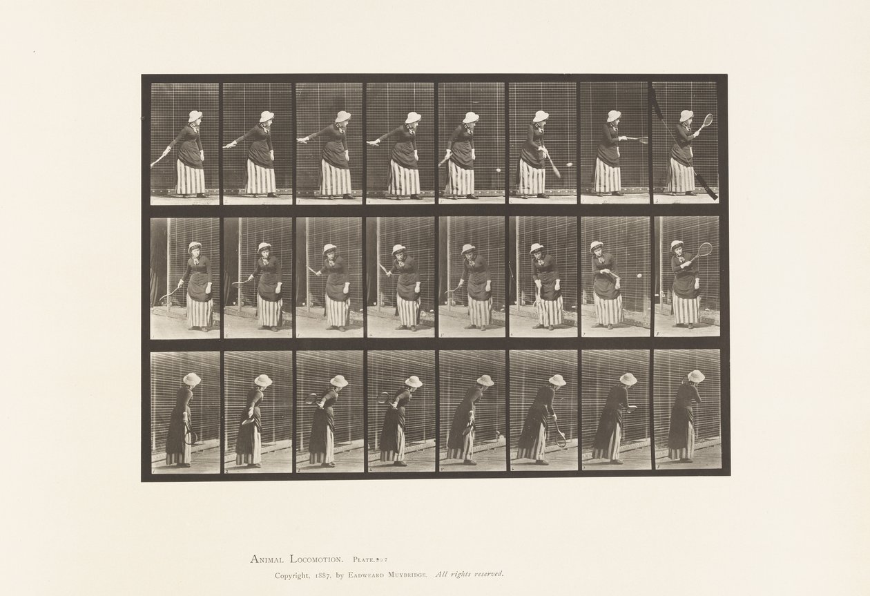 Płyta 297. Tenis na trawniku autorstwa Eadweard Muybridge