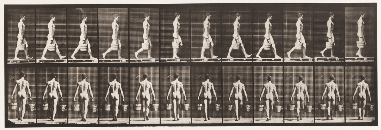 Płyta 29. Chodzenie, niosąc w każdej ręce wiadro wody, 1872-1885 autorstwa Eadweard Muybridge