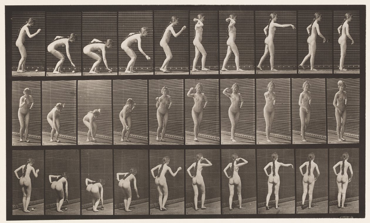Płyta 304. Podnoszenie piłki i rzucanie nią autorstwa Eadweard Muybridge