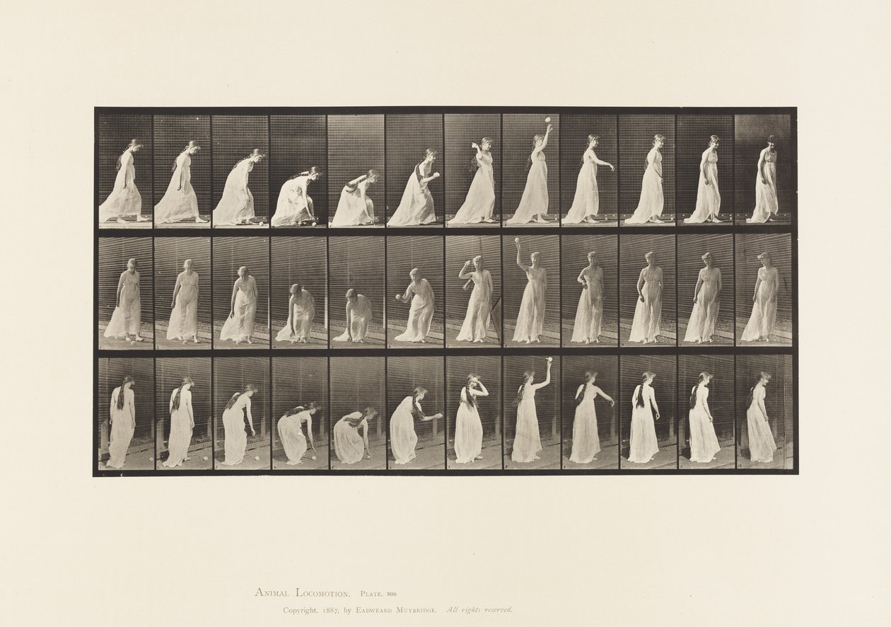 Płyta 306. Podnoszenie piłki i rzucanie nią, 1885 autorstwa Eadweard Muybridge