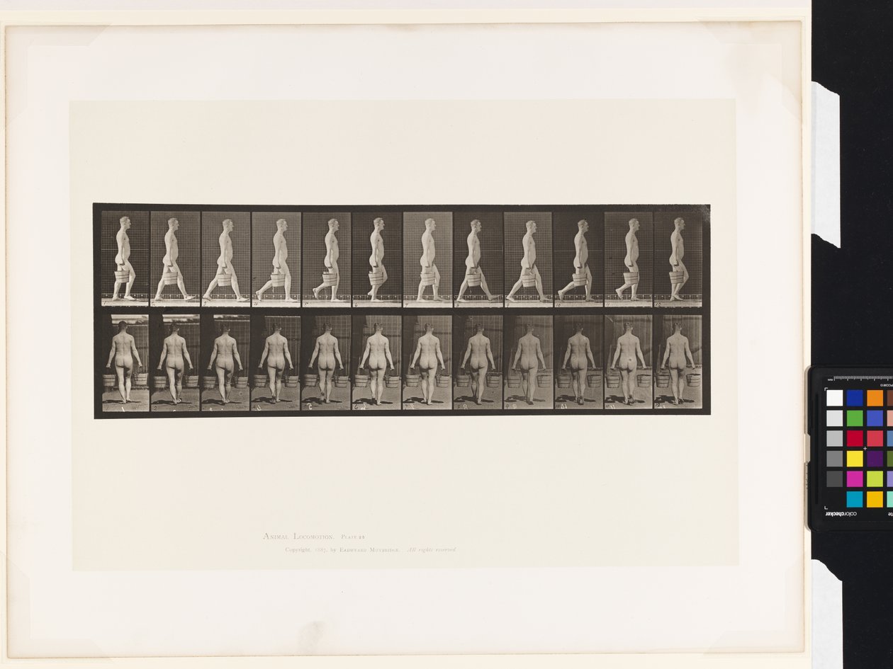 Płyta 30. Chodzenie, noszenie wiadra wody w każdej ręce autorstwa Eadweard Muybridge