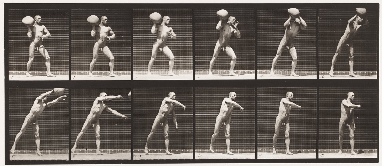 Płyta 311. Falowanie 75-funtowej skały, 1885 autorstwa Eadweard Muybridge