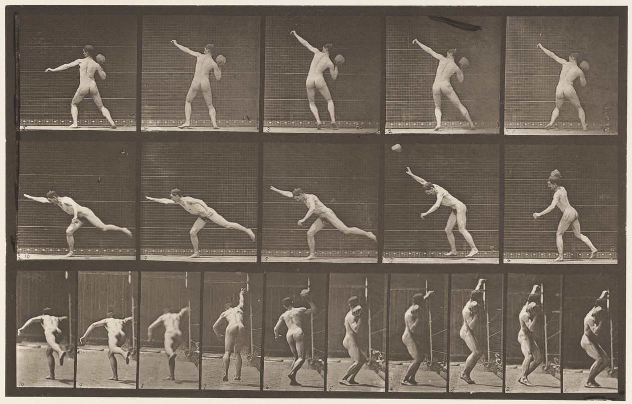 Płyta 313. Podnoszenie 20-funtowej skały, 1885 autorstwa Eadweard Muybridge