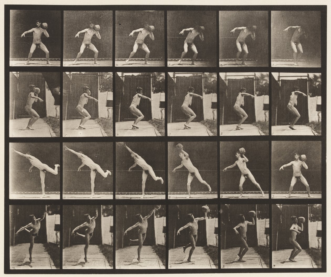 Płyta 315. Podnoszenie 20-funtowego kamienia autorstwa Eadweard Muybridge
