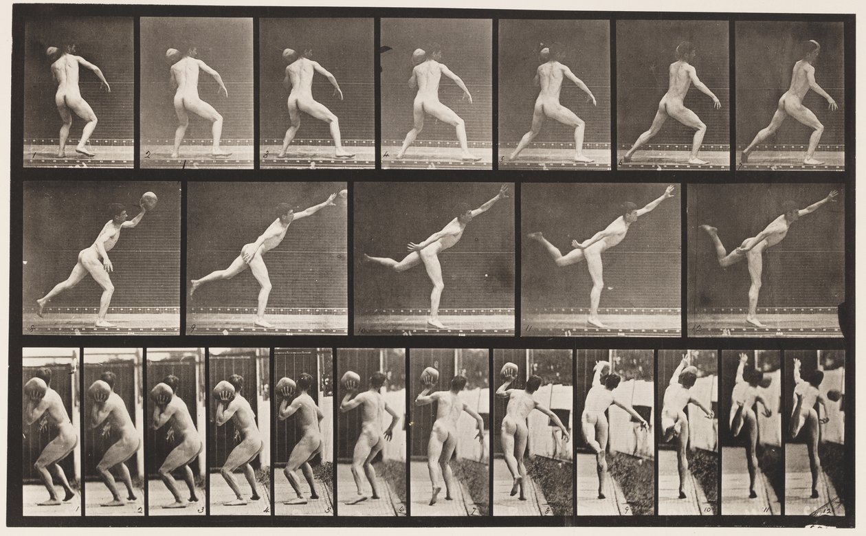 Płyta 316. Podnoszenie 20-funtowej skały, 1885 autorstwa Eadweard Muybridge