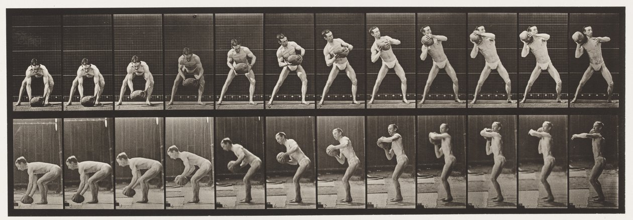 Płyta 318. Podnoszenie 75-funtowej skały, 1872-1885 autorstwa Eadweard Muybridge