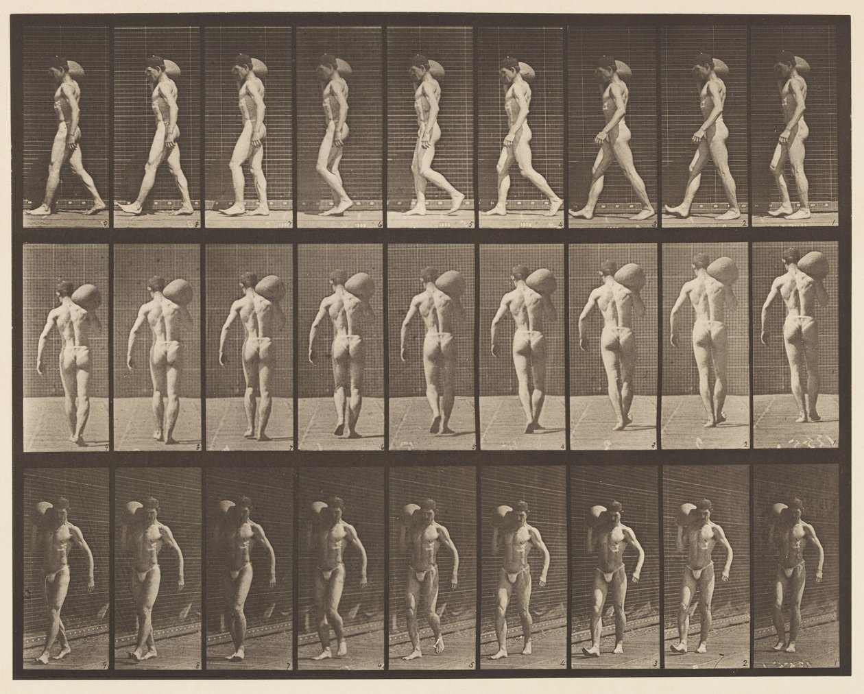 Płyta 31. Chodzenie, noszenie 75-funtowego kamienia na prawym ramieniu autorstwa Eadweard Muybridge