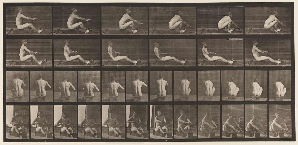 Płyta 328. Wioślarstwo autorstwa Eadweard Muybridge