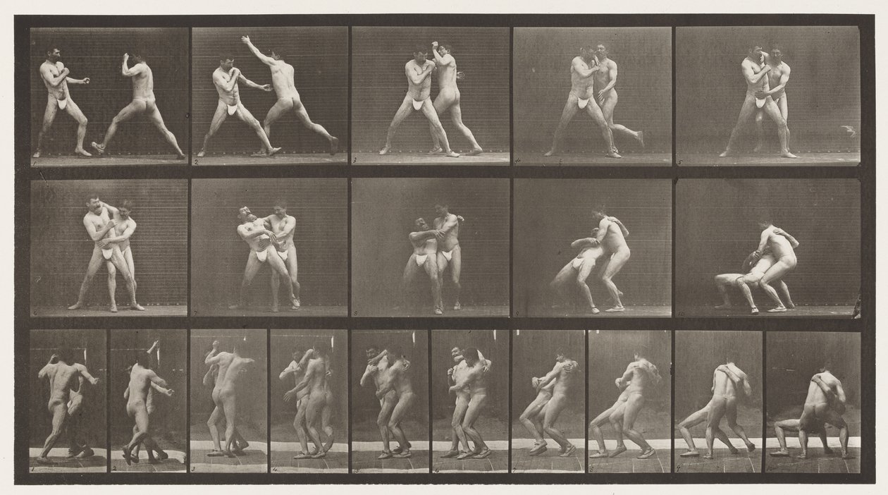 Płyta 331. Boks; Zatrzymaj się na krzyżowe pośladki autorstwa Eadweard Muybridge