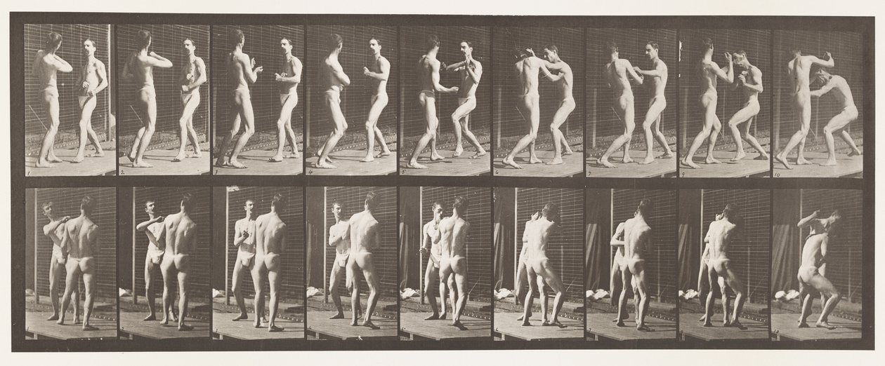 Płyta 339. Boks; Otwarta dłoń autorstwa Eadweard Muybridge