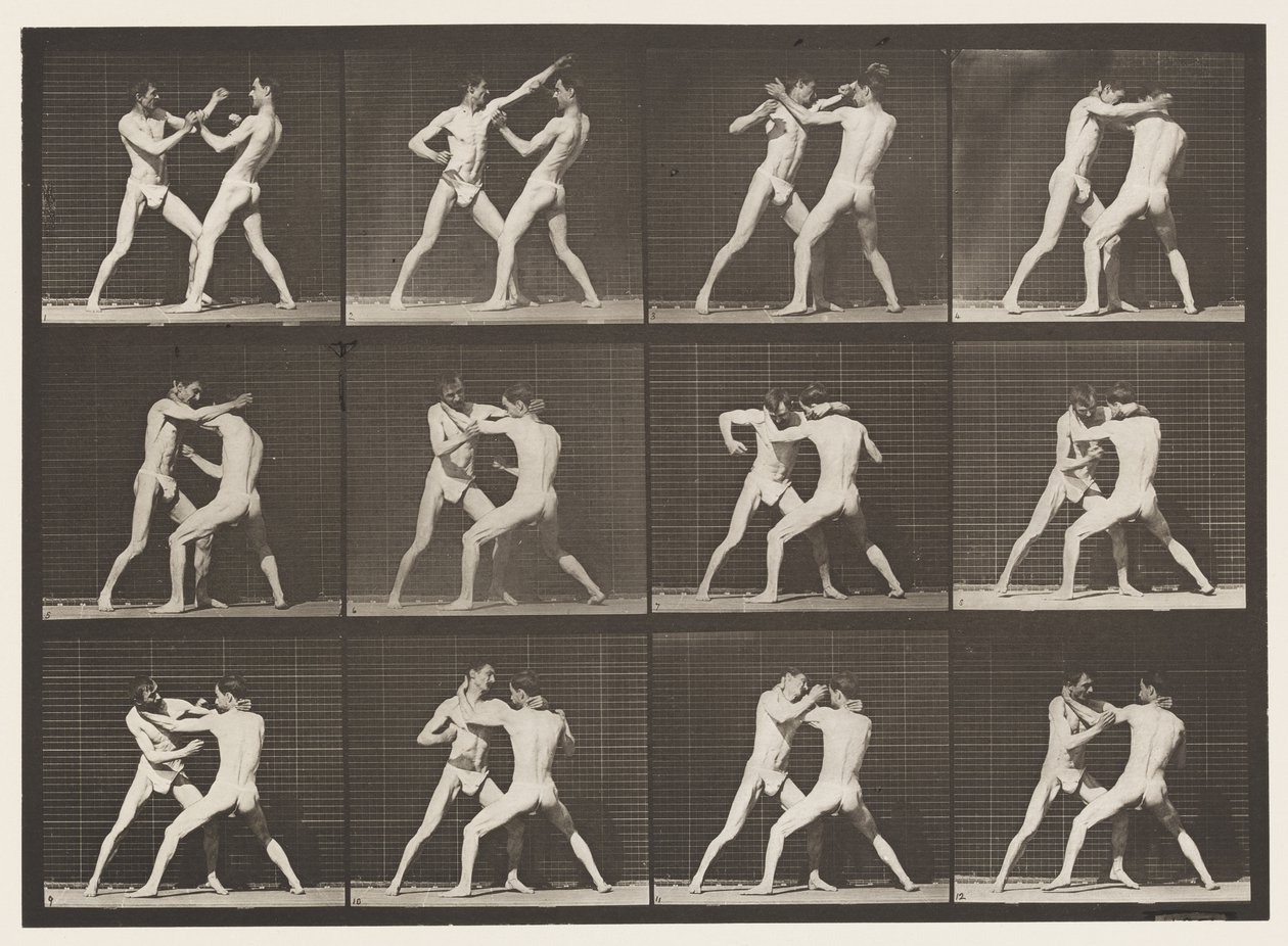 Płyta 340. Boks; Otwarta dłoń autorstwa Eadweard Muybridge