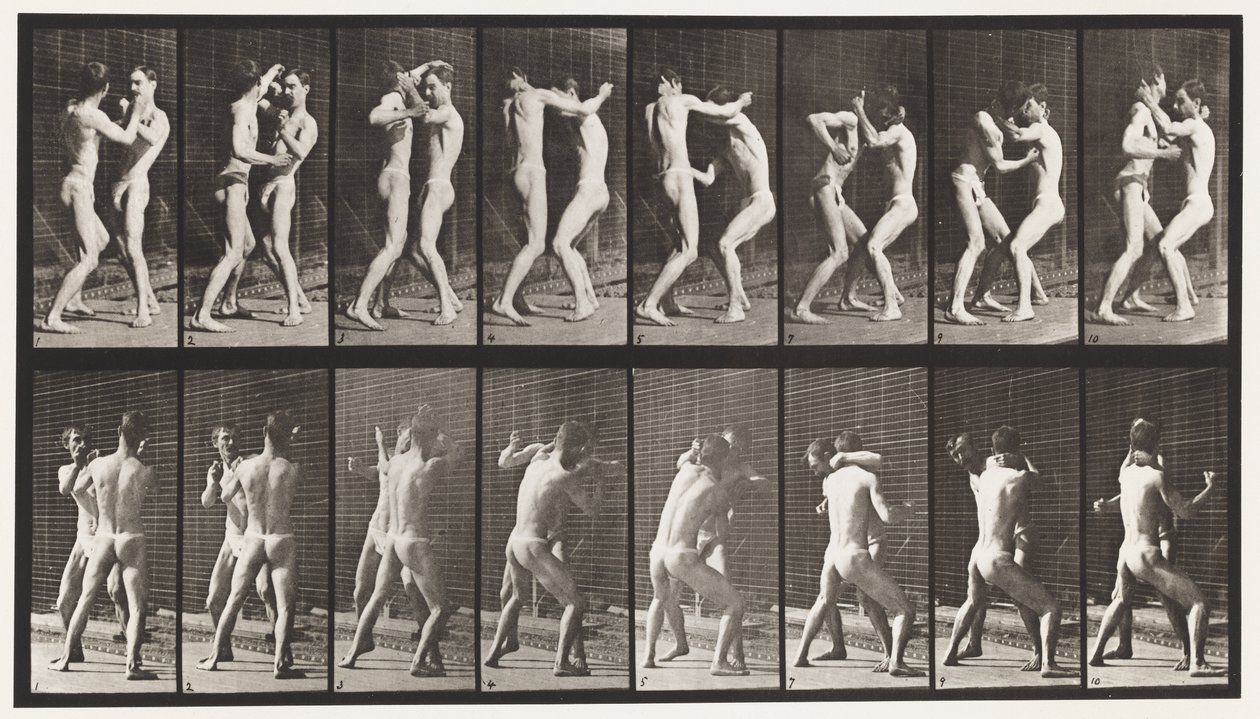 Płyta 341. Boks; Otwarta dłoń autorstwa Eadweard Muybridge